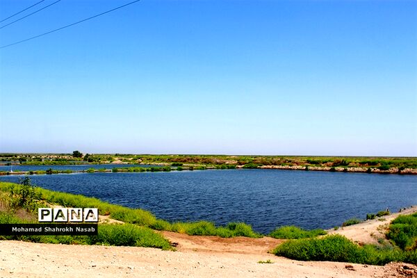 هور العظیم ؛انهدام زیبایی، ازدحام تنهایی