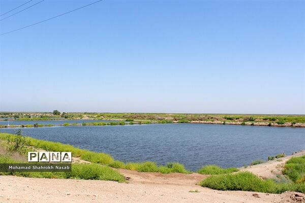 هور العظیم ؛انهدام زیبایی، ازدحام تنهایی
