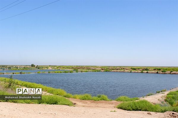 هور العظیم ؛انهدام زیبایی، ازدحام تنهایی