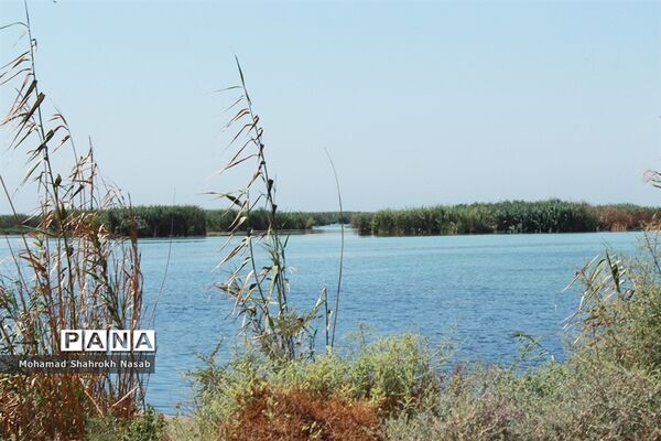 هور العظیم ؛انهدام زیبایی، ازدحام تنهایی