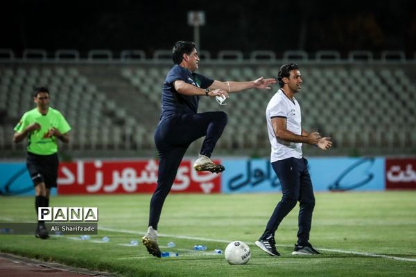 دیدار تیم های استقلال - سایپا