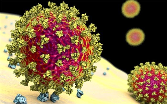 چگونه از کودکان در برابر سویه دلتا محافظت کنیم؟