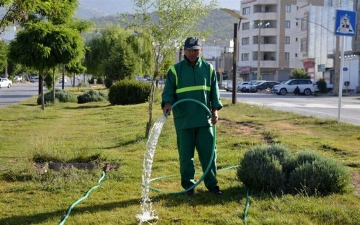 چمن کاری در استان تهران ممنوع شد