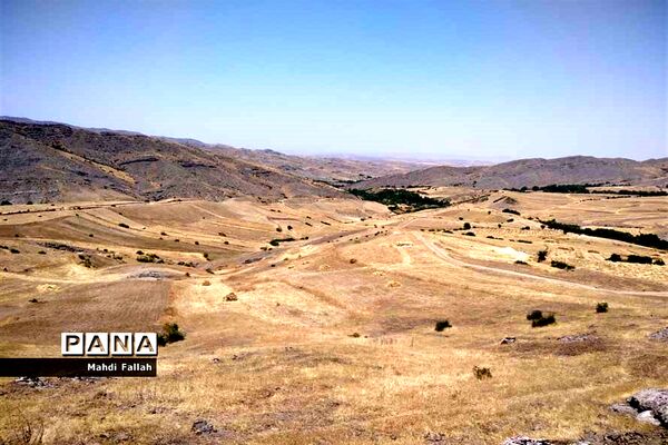 برداشت محصولات کشاورزی در روستای تنباکلوق  از توابع شهرستان هوراند