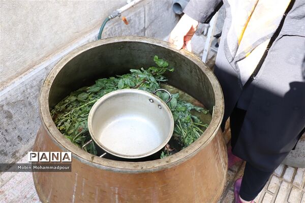 عرق گیری گیاه شاه اسپرم به روش سنتی  در تبریز