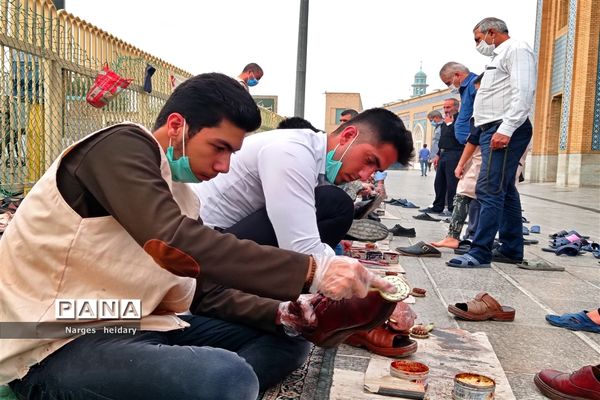 دیدار معنوی و زیبا پانا امیدیه از بارگاه ملکوتی حرم حضرت معصومه (س)