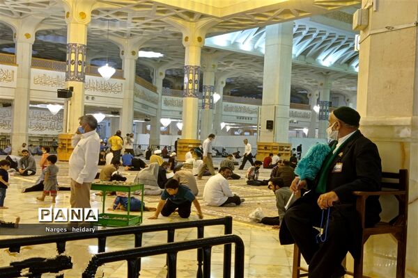 دیدار معنوی و زیبا پانا امیدیه از بارگاه ملکوتی حرم حضرت معصومه (س)