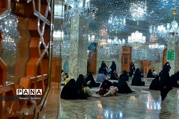 دیدار معنوی و زیبا پانا امیدیه از بارگاه ملکوتی حرم حضرت معصومه (س)