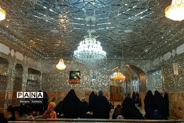 دیدار معنوی و زیبا پانا امیدیه از بارگاه ملکوتی حرم حضرت معصومه (س)