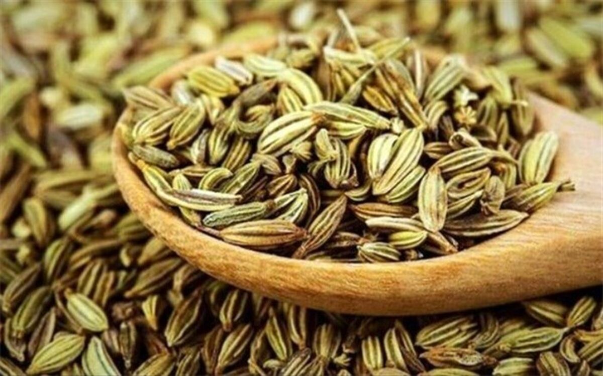 با منبع عالی از مواد معدنی آشنا شوید