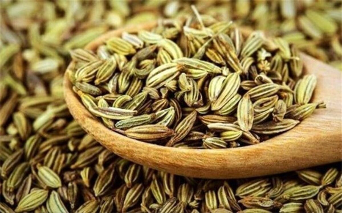 با منبع عالی از مواد معدنی آشنا شوید