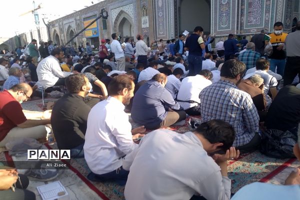 دعای عرفه در حرم مطهر رضوی