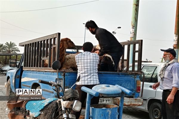 اقامه نماز عید قربان و مراسم قربانی کردن در امیدیه