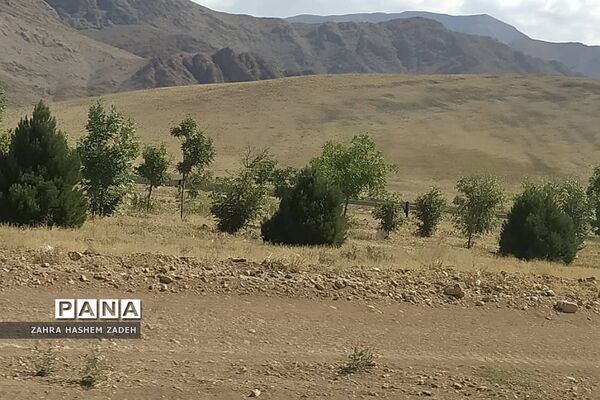 طبیعت زیبای روستای آئینه‌ورزان