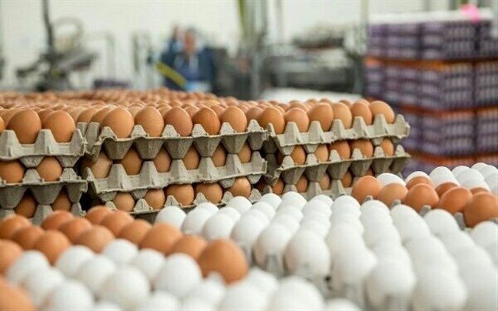تخم‌مرغ مجوز گرانی گرفته است؛ هر کیلو ۱۷۳۰۰ تومان