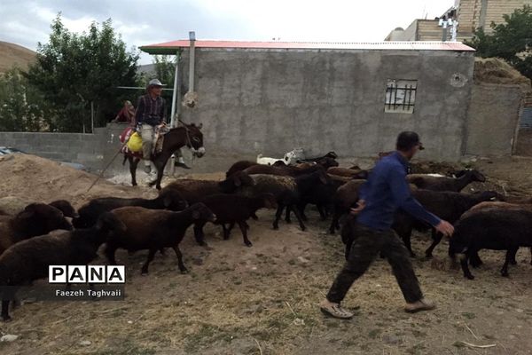 طبیعت زیبای دهستان قاضی کندی اوریاد