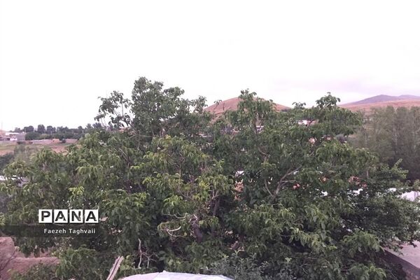طبیعت زیبای دهستان قاضی کندی اوریاد