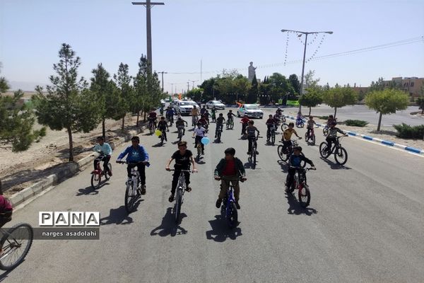 کاروان شادی غدیر در شهرستان زیرکوه