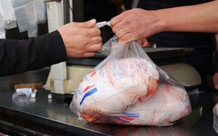 چرا قیمت مرغ افزایش یافته است