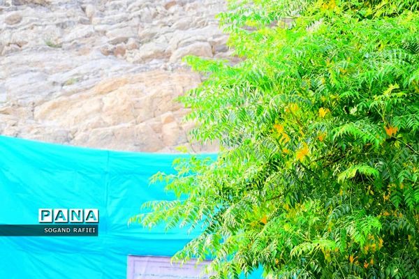 آغاز ترمیم اثر تاریخی چشمه‌علی شهرری