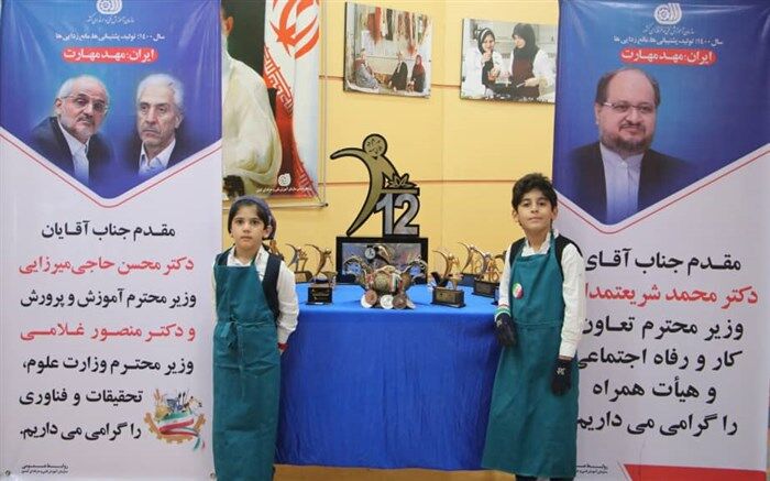 «پارسا قاضی» سفیر مهارت‌آموزی شد