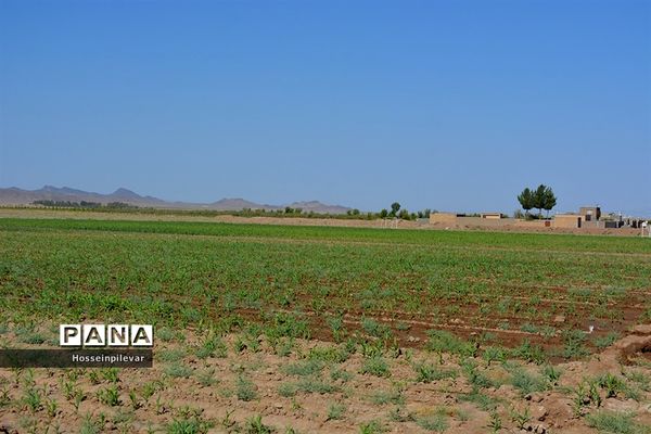 افتتاح پروژه آبیاری کم فشار در بخش ماژان شهرستان خوسف