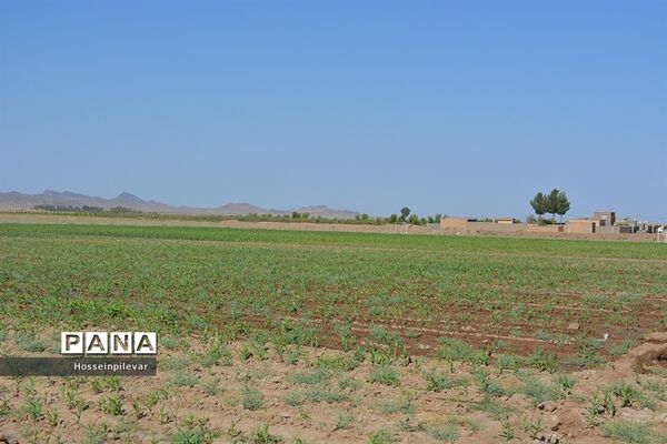 افتتاح پروژه آبیاری کم فشار در بخش ماژان شهرستان خوسف