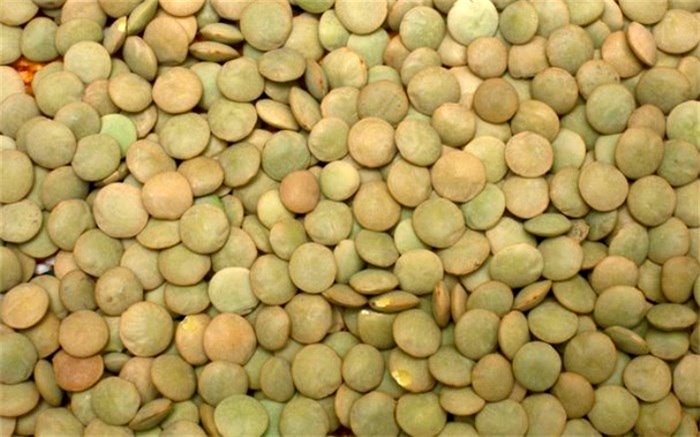 این خوراکی خواص ضدویروسی در مقابله با کرونا دارد