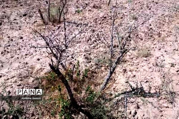 خشکی قنات روستای پایهان
