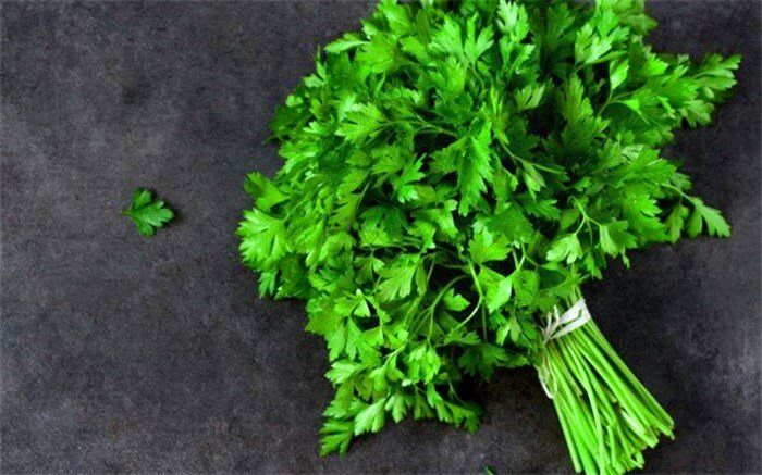 ۶ گیاه‌ درمان کننده  سرطان