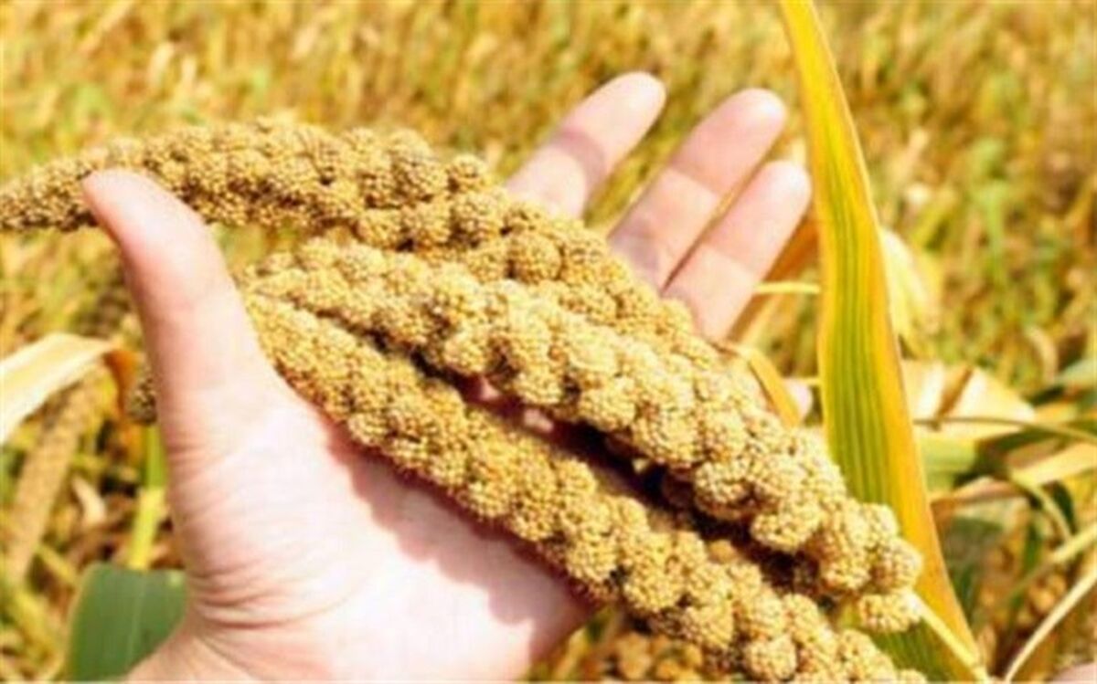 با کاهنده سریع قند خون آشنا شوید