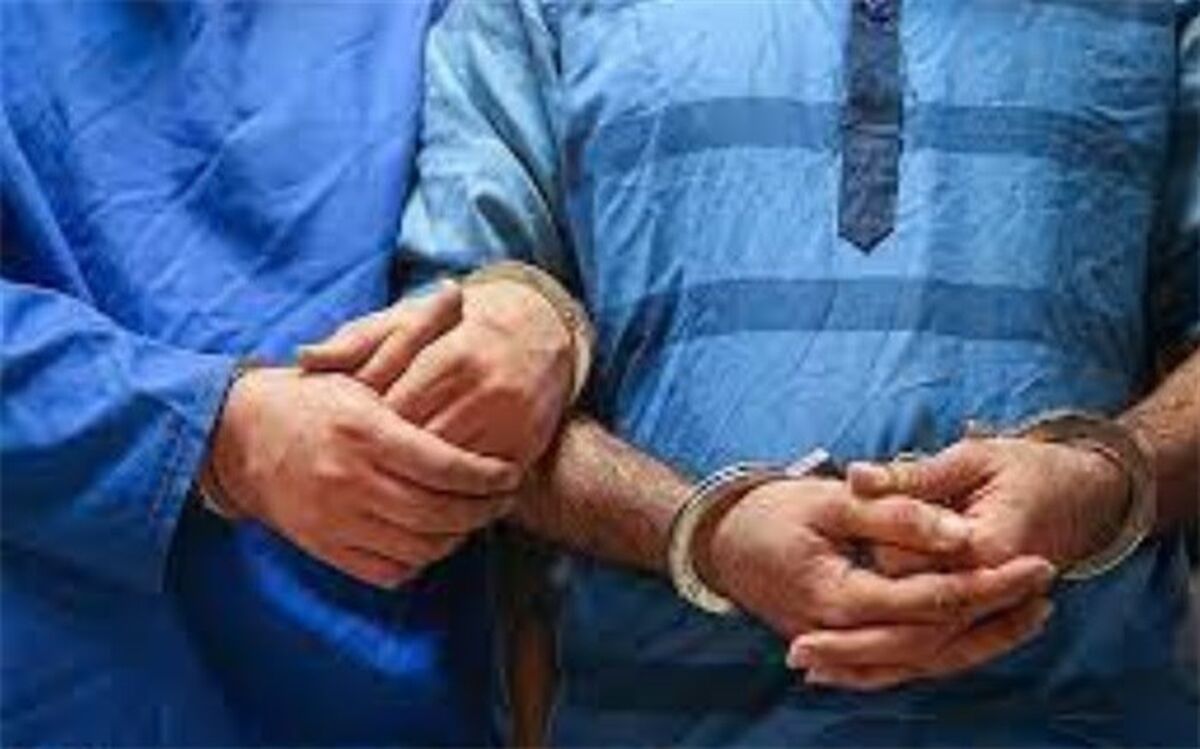 تصویب دو ماده از طرح اصلاح قانون مجازات اخلالگران اقتصادی