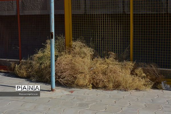 استادیومی بی جان و دل به نام غدیر در بیرجند