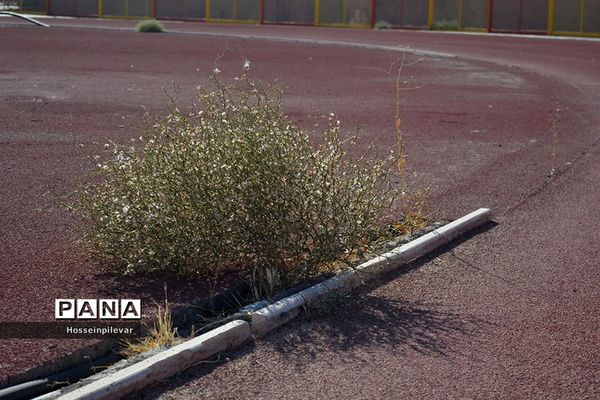 استادیومی بی جان و دل به نام غدیر در بیرجند