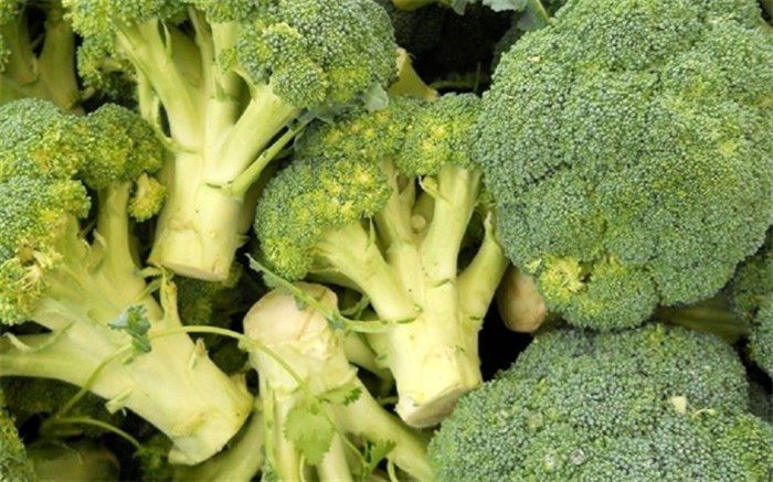 غذا‌هایی که کلسیم مورد نیاز بدن را تامین می‌کنند