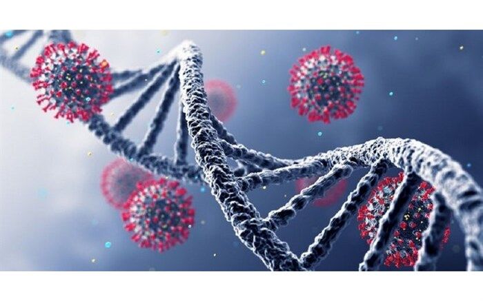 ۲۵۰ تخت به ظرفیت بیمارستانی گیلان افزوده شد