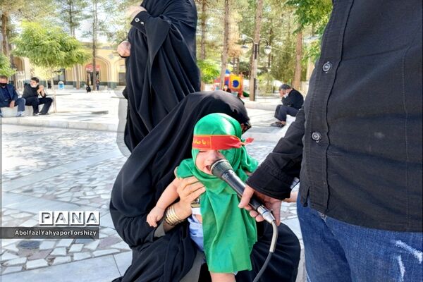 برگزاری مراسم شیر خوارگان حسینی در زیارتگاه شهید مدرس
