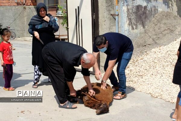 حال و هوای محرم در روستای تیله نو شهرستان گلوگاه