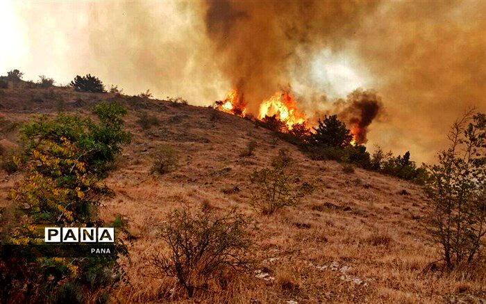 جنگل‌های ارسباران در خداآفرین  دچار حریق شد