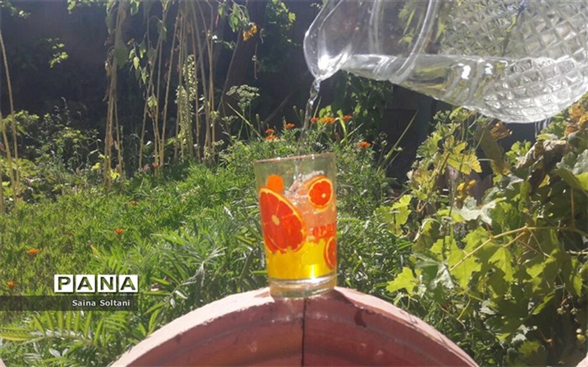 چرا نباید همراه غذا آب خورد