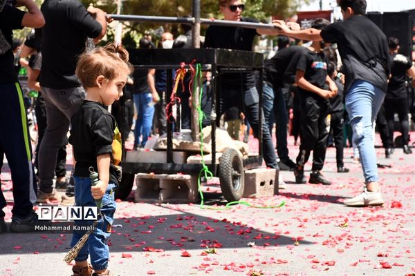 ز کودکی خادم این تبار محترمم