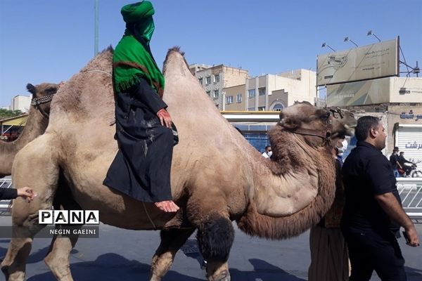 حرکت کاروان نمادین اسرای کربلا در قم