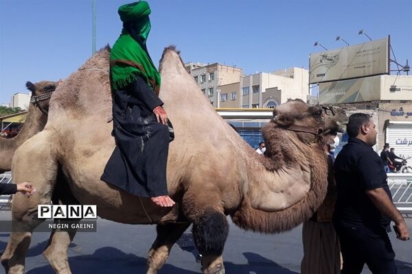 حرکت کاروان نمادین اسرای کربلا در قم