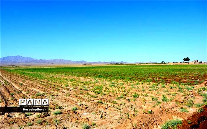 اجرای ۵ هزار هکتار طرح الگویی هوشمندسازی سامانه‌های نوین آبیاری