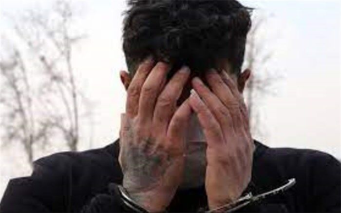 سارقی که در دیوار مخفی می‌شد