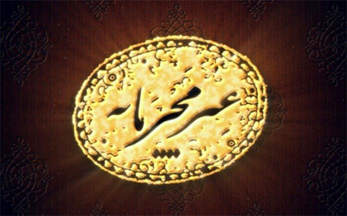 واکاوی اقتصاد خرد ومشاغل خانگی در«غیرمحرمانه»