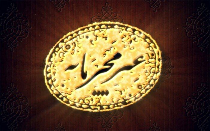 واکاوی اقتصاد خرد ومشاغل خانگی در«غیرمحرمانه»