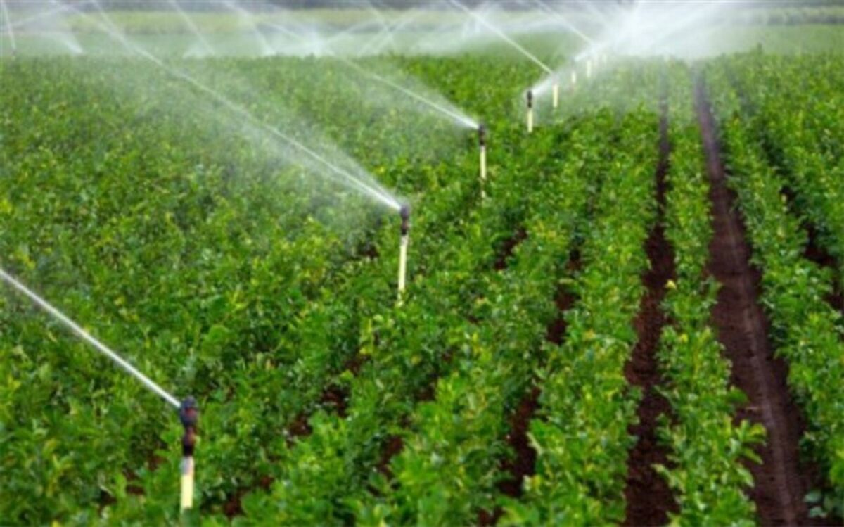 طرح انتقال آب به زمین‌های کشاورزی در شهر کاج