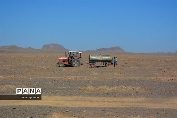 پروژه نهالکاری در منطقه شهرستان خور