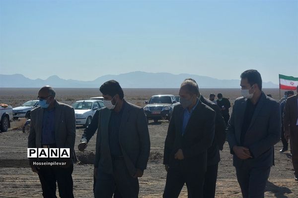 پروژه نهالکاری در منطقه شهرستان خور